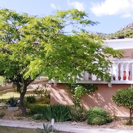Villa The Garden Of Elais Šibenik Exterior foto