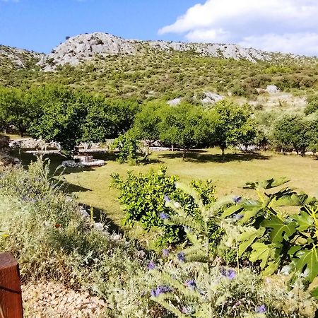 Villa The Garden Of Elais Šibenik Exterior foto